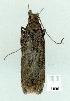  ( - gvc8245-1L)  @12 [ ] Copyright (2004) Unspecified Unspecified