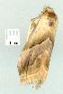  ( - gvc8273-1L)  @13 [ ] Copyright (2004) Unspecified Unspecified