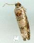  ( - gvc8285-1L)  @12 [ ] Copyright (2004) Unspecified Unspecified