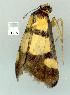  ( - gvc8309-1L)  @12 [ ] Copyright (2004) Unspecified Unspecified