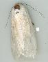  ( - gvc8326-1L)  @12 [ ] Copyright (2004) Unspecified Unspecified