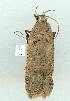 ( - gvc8329-1L)  @12 [ ] Copyright (2004) Unspecified Unspecified