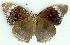  ( - gvc8330-1L)  @13 [ ] Copyright (2004) Unspecified Unspecified