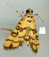  ( - gvc8336-1L)  @12 [ ] Copyright (2004) Unspecified Unspecified