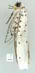  ( - gvc8370-1L)  @12 [ ] Copyright (2004) Unspecified Unspecified