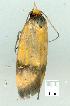  ( - gvc8384-1L)  @12 [ ] Copyright (2004) Unspecified Unspecified