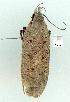  ( - gvc8386-1L)  @12 [ ] Copyright (2004) Unspecified Unspecified