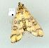  ( - gvc8387-1L)  @12 [ ] Copyright (2004) Unspecified Unspecified