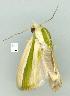  ( - gvc8398-1L)  @13 [ ] Copyright (2004) Unspecified Unspecified