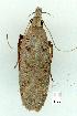  ( - gvc8404-1L)  @12 [ ] Copyright (2004) Unspecified Unspecified