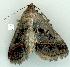  ( - gvc8410-1L)  @13 [ ] Copyright (2004) Unspecified Unspecified