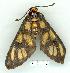  ( - gvc8450-1L)  @13 [ ] Copyright (2004) Unspecified Unspecified