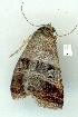  ( - gvc8477-1L)  @13 [ ] Copyright (2004) Unspecified Unspecified