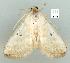  ( - gvc8478-1L)  @13 [ ] Copyright (2004) Unspecified Unspecified