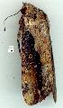  ( - gvc8498-1L)  @12 [ ] Copyright (2004) Unspecified Unspecified