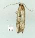  ( - gvc8516-1L)  @12 [ ] Copyright (2004) Unspecified Unspecified