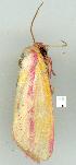  ( - gvc8577-1L)  @12 [ ] Copyright (2004) Unspecified Unspecified