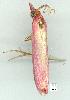  ( - gvc8582-1L)  @12 [ ] Copyright (2004) Unspecified Unspecified