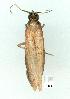  ( - gvc10868-1L)  @12 [ ] Copyright (2004) Unspecified Unspecified