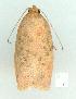  ( - gvc11072-1L)  @12 [ ] Copyright (2004) Unspecified Unspecified