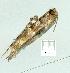  ( - gvc11119-1L)  @12 [ ] Copyright (2004) Unspecified Unspecified