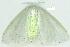  ( - gvc8633-1L)  @13 [ ] Copyright (2004) Unspecified Unspecified