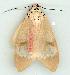  ( - gvc8637-1L)  @12 [ ] Copyright (2004) Unspecified Unspecified