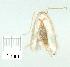  ( - gvc8650-1L)  @12 [ ] Copyright (2004) Unspecified Unspecified