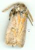  ( - gvc8666-1L)  @13 [ ] Copyright (2004) Unspecified Unspecified