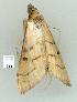  ( - gvc8679-1L)  @12 [ ] Copyright (2004) Unspecified Unspecified