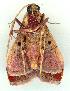  ( - gvc8709-1L)  @13 [ ] Copyright (2004) Unspecified Unspecified