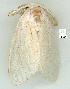  ( - gvc8711-1L)  @12 [ ] Copyright (2004) Unspecified Unspecified