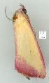  ( - gvc8715-1L)  @12 [ ] Copyright (2004) Unspecified Unspecified