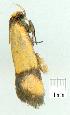  ( - gvc8723-1L)  @12 [ ] Copyright (2004) Unspecified Unspecified