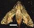  ( - gvc8725-1L)  @13 [ ] Copyright (2004) Unspecified Unspecified