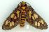  ( - gvc8726-1L)  @13 [ ] Copyright (2004) Unspecified Unspecified