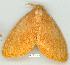  ( - gvc8743-1L)  @12 [ ] Copyright (2004) Unspecified Unspecified