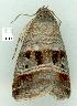  ( - gvc8753-1L)  @13 [ ] Copyright (2004) Unspecified Unspecified