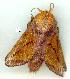  ( - gvc8765-1L)  @13 [ ] Copyright (2004) Unspecified Unspecified