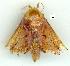  ( - gvc8766-1L)  @13 [ ] Copyright (2004) Unspecified Unspecified