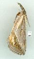  ( - gvc8804-1L)  @12 [ ] Copyright (2004) Unspecified Unspecified