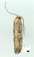  ( - gvc8818-1L)  @12 [ ] Copyright (2004) Unspecified Unspecified