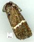 ( - gvc8822-1L)  @12 [ ] Copyright (2004) Unspecified Unspecified