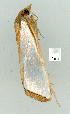  ( - gvc8823-1L)  @12 [ ] Copyright (2004) Unspecified Unspecified