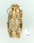  ( - gvc8831-1L)  @12 [ ] Copyright (2004) Unspecified Unspecified