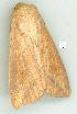  ( - gvc8914-1L)  @13 [ ] Copyright (2004) Unspecified Unspecified