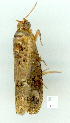  ( - gvc8936-1L)  @12 [ ] Copyright (2004) Unspecified Unspecified