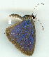  ( - gvc8962-1L)  @12 [ ] Copyright (2004) Unspecified Unspecified