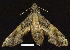  ( - gvc8982-1L)  @13 [ ] Copyright (2004) Unspecified Unspecified