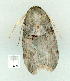  ( - gvc8996-1L)  @12 [ ] Copyright (2004) Unspecified Unspecified